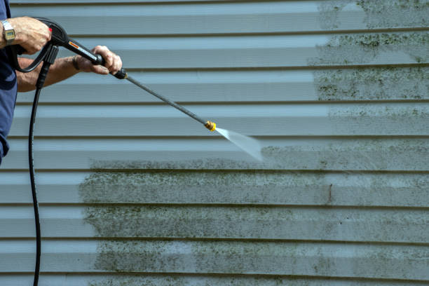 Best Roof Pressure Washing  in Grove City, FL